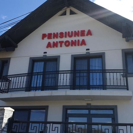 Pensiunea Antonia Sighetu Marmaţiei Exteriér fotografie