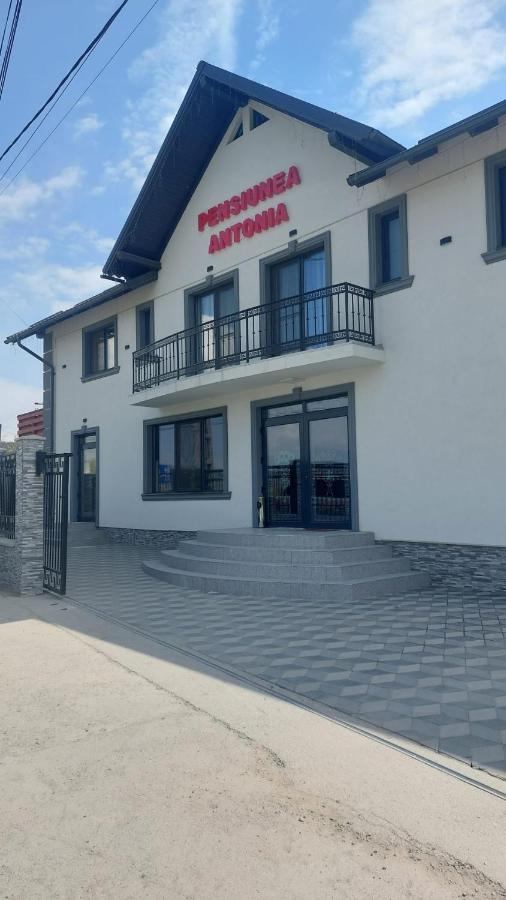 Pensiunea Antonia Sighetu Marmaţiei Exteriér fotografie