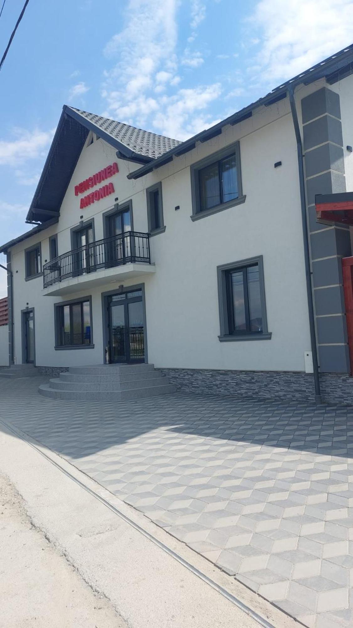 Pensiunea Antonia Sighetu Marmaţiei Exteriér fotografie