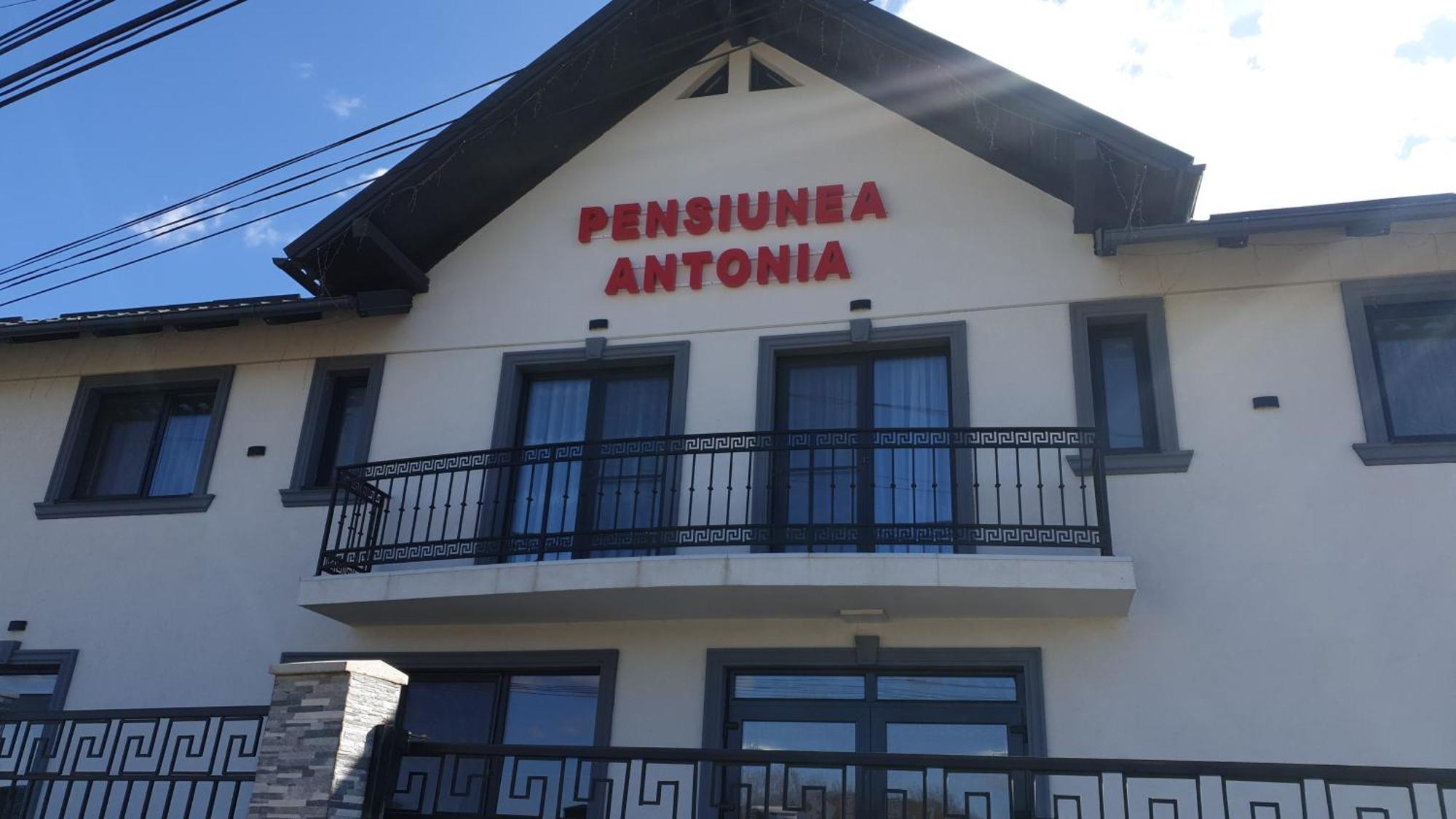 Pensiunea Antonia Sighetu Marmaţiei Exteriér fotografie