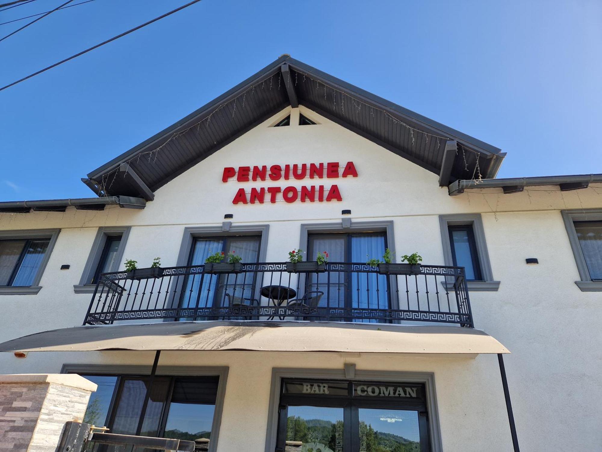 Pensiunea Antonia Sighetu Marmaţiei Pokoj fotografie