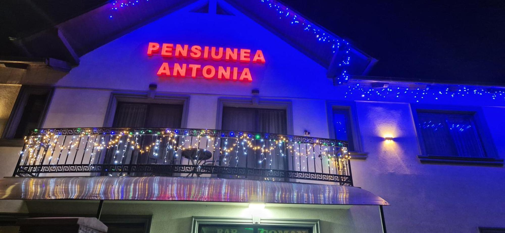 Pensiunea Antonia Sighetu Marmaţiei Exteriér fotografie